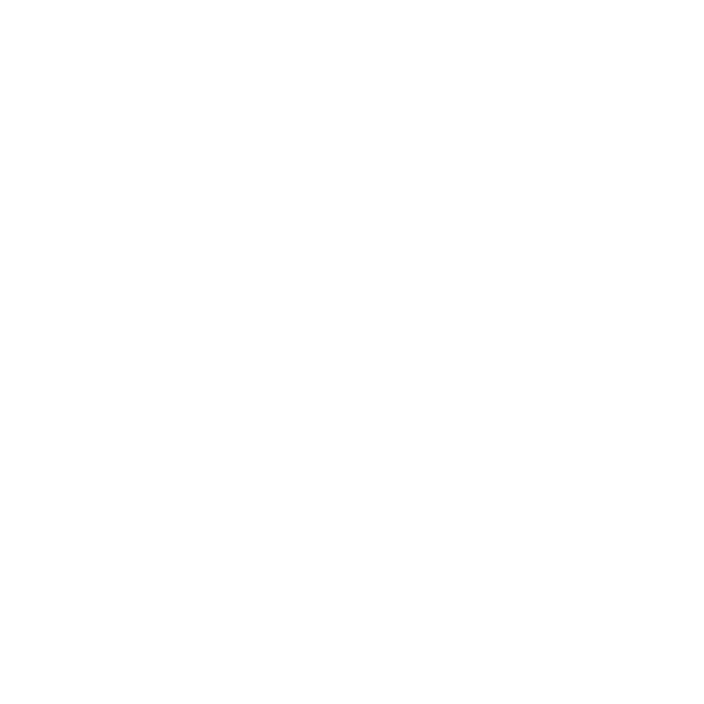 100X System logo
